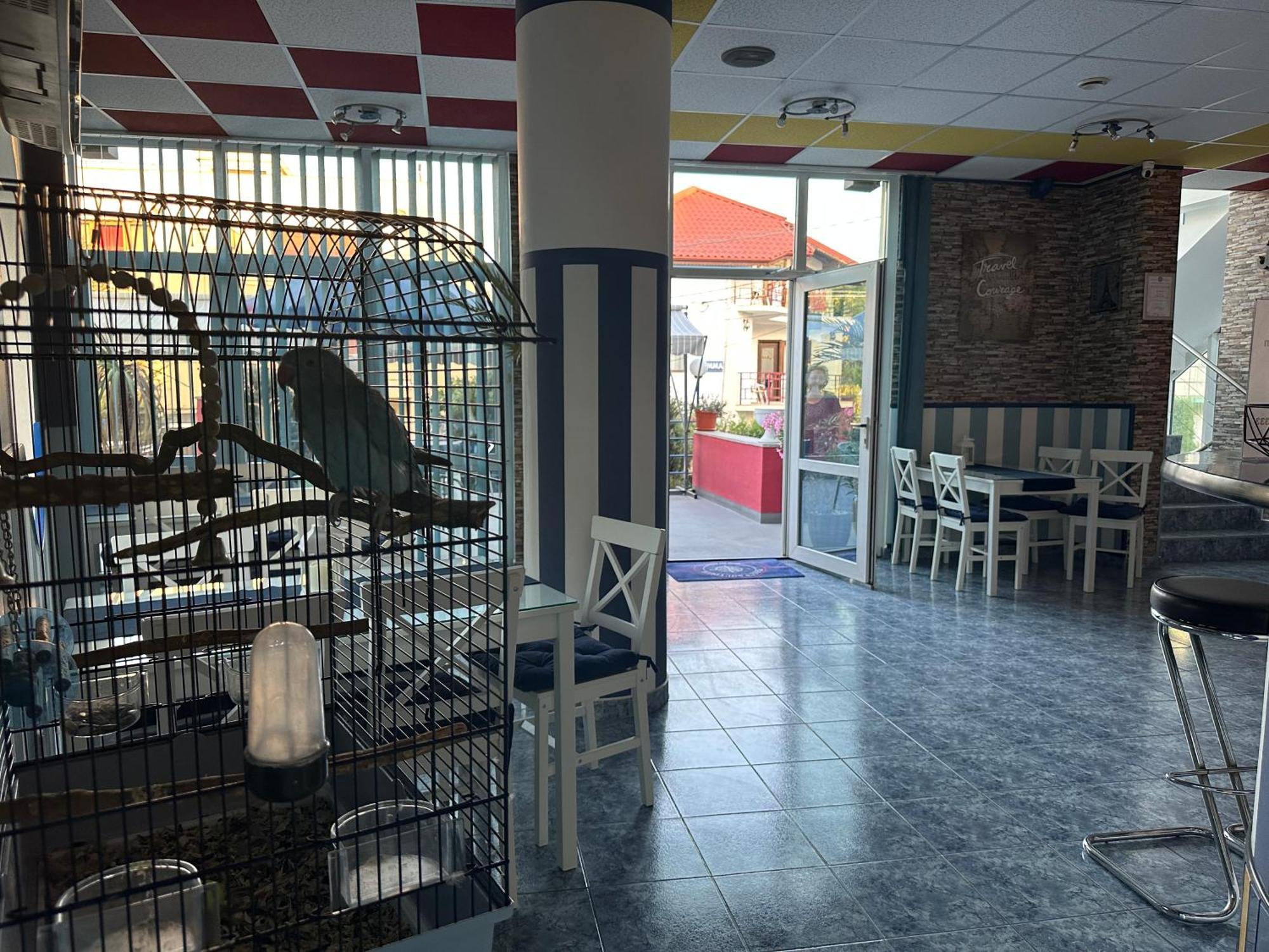Plexus Boutique Ξενοδοχείο Eforie Sud  Εξωτερικό φωτογραφία