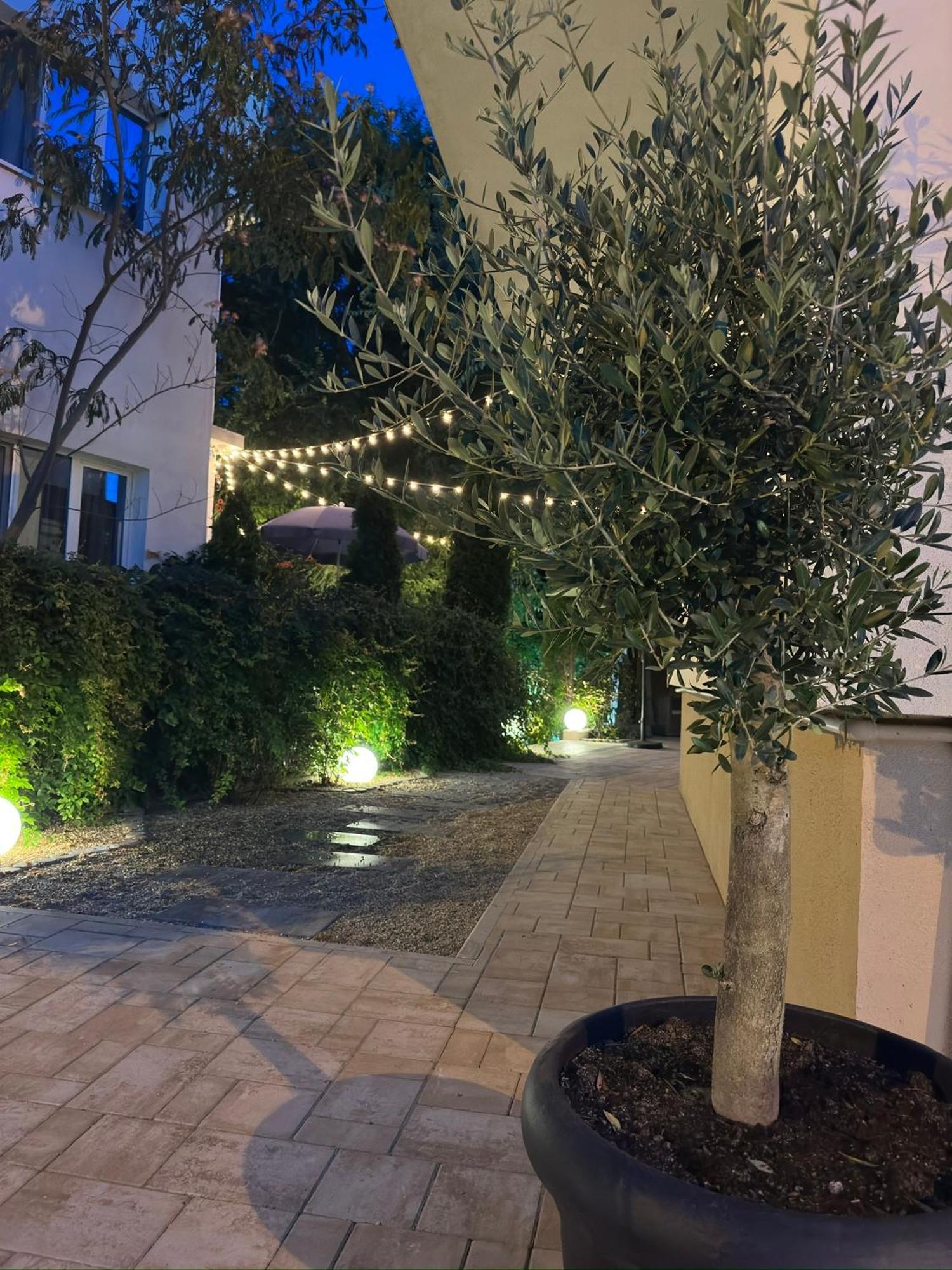 Plexus Boutique Ξενοδοχείο Eforie Sud  Εξωτερικό φωτογραφία