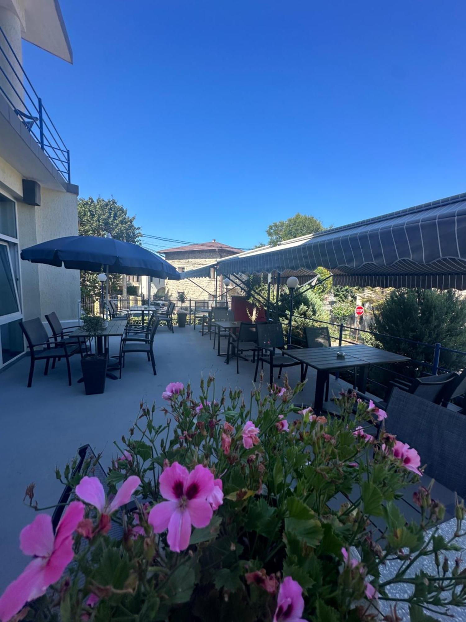 Plexus Boutique Ξενοδοχείο Eforie Sud  Εξωτερικό φωτογραφία